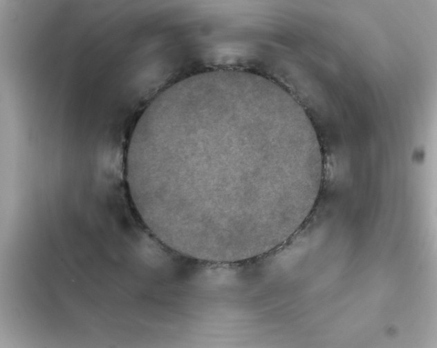 X0000103130820200809191939