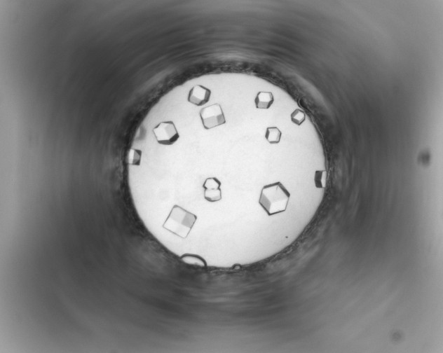 X0000103130821200809191939