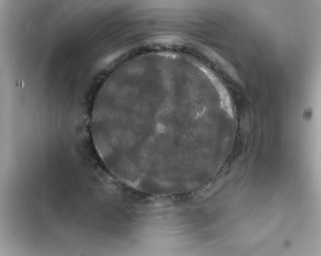 X0000103130822200809191939