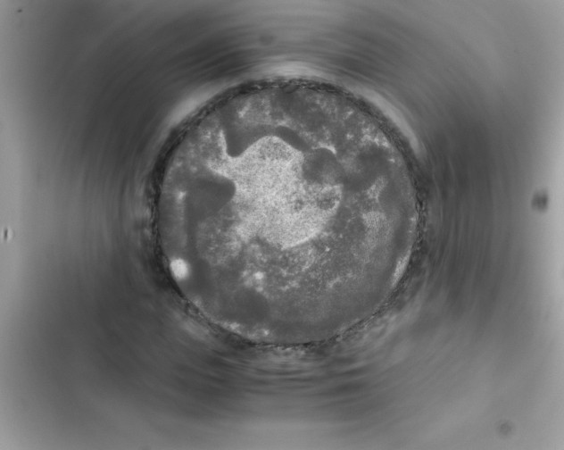 X0000103130823200809191939