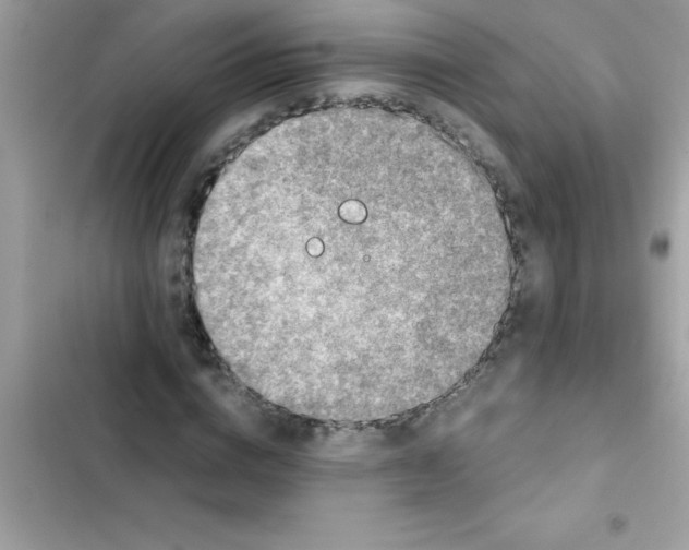 X0000103130824200809191939