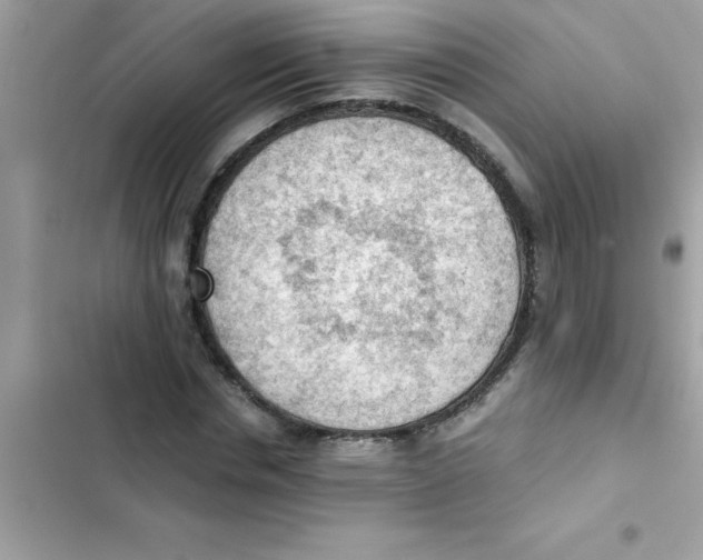 X0000103130826200809191939
