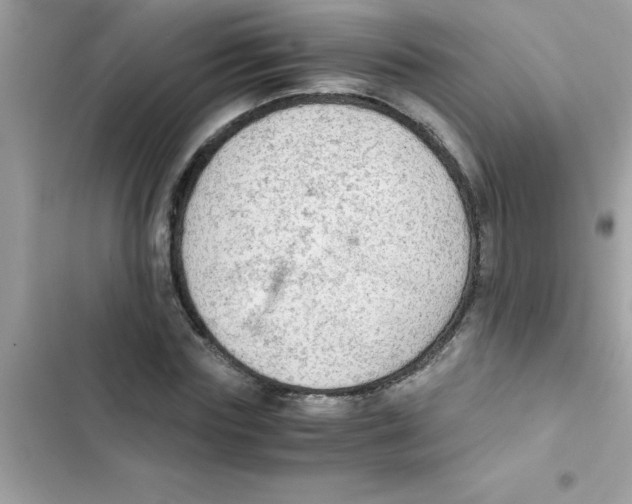 X0000103130827200809191939