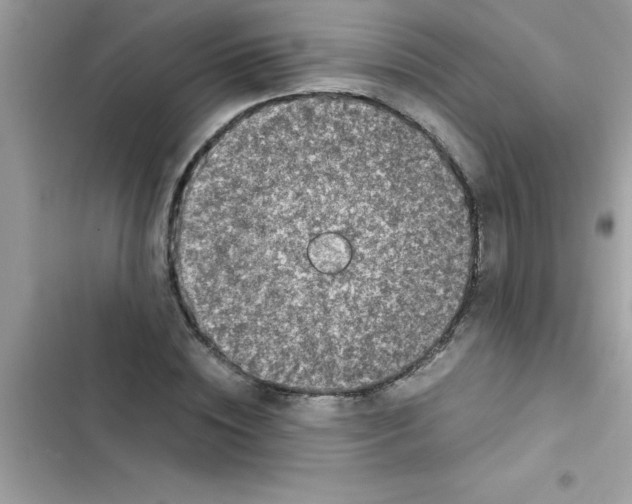 X0000103130828200809191939