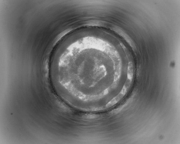 X0000103130829200809191939
