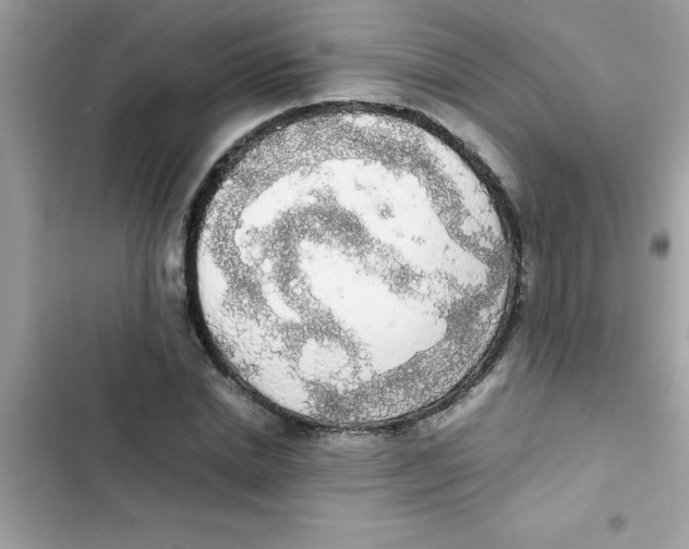 X0000103130830200809191939