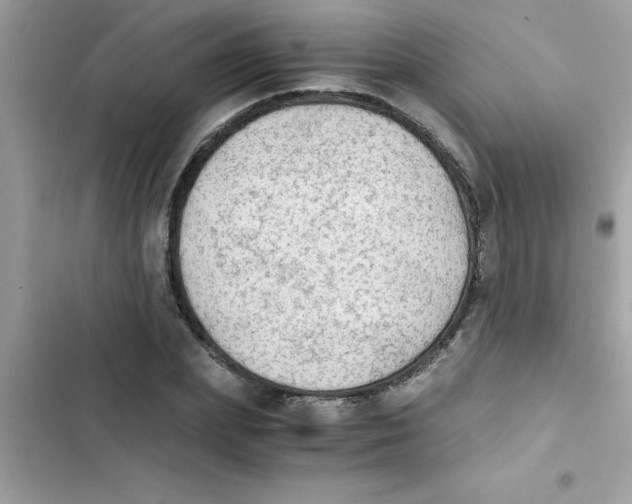 X0000103130831200809191939