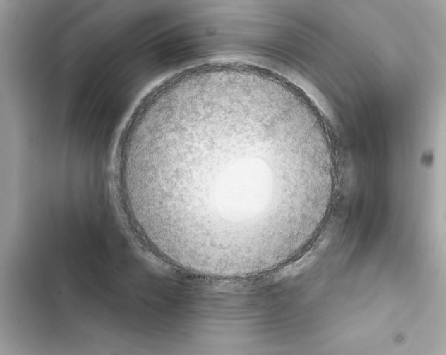 X0000103130832200809191939