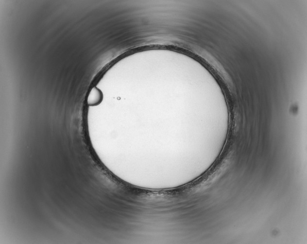 X0000103130834200809191939