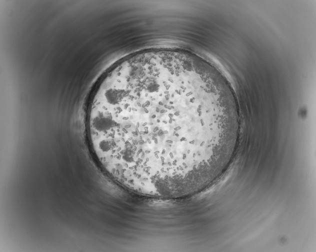 X0000103130835200809191939
