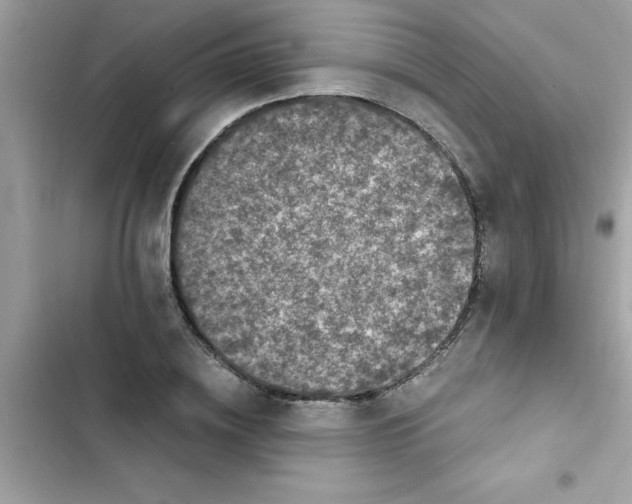 X0000103130836200809191939