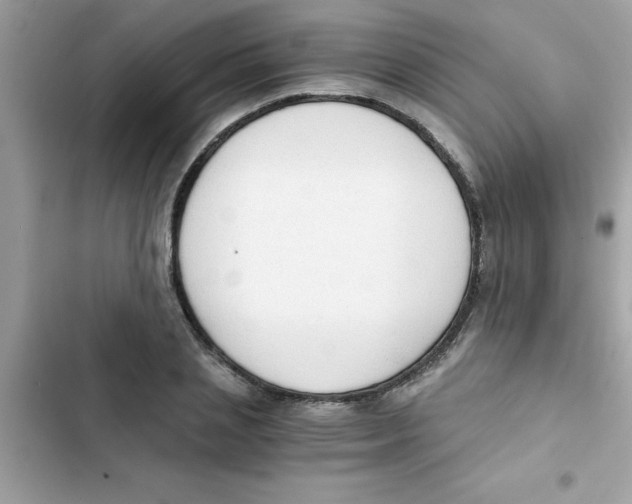 X0000103130837200809191939