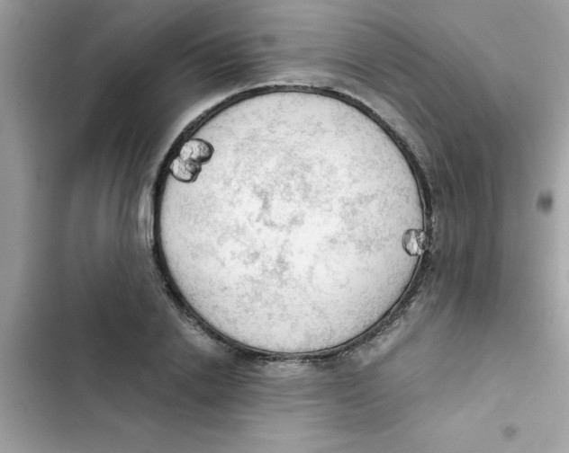 X0000103130838200809191939