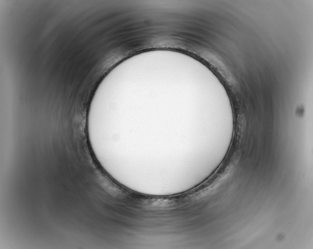 X0000103130841200809191939
