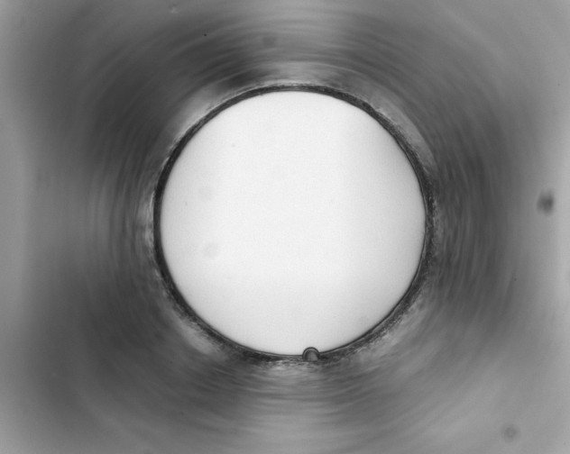X0000103130842200809191939