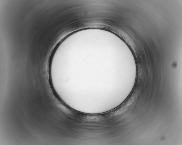 X0000103130843200809191939