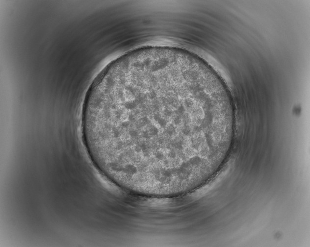 X0000103130845200809191939