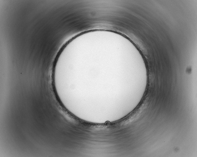 X0000103130846200809191939
