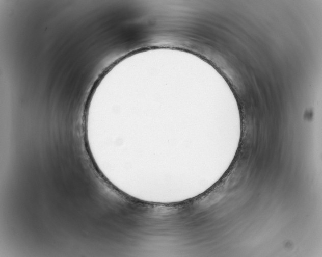 X0000103130848200809191939