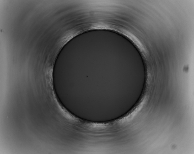 X0000103130849200809191939