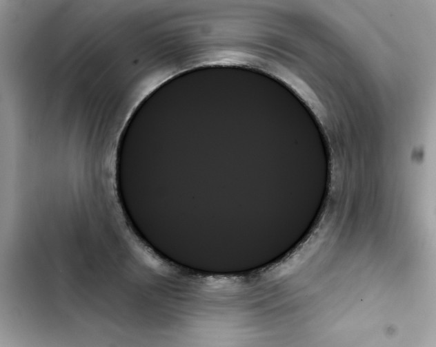 X0000103130850200809191939