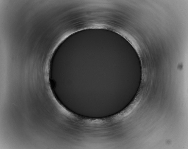 X0000103130851200809191939