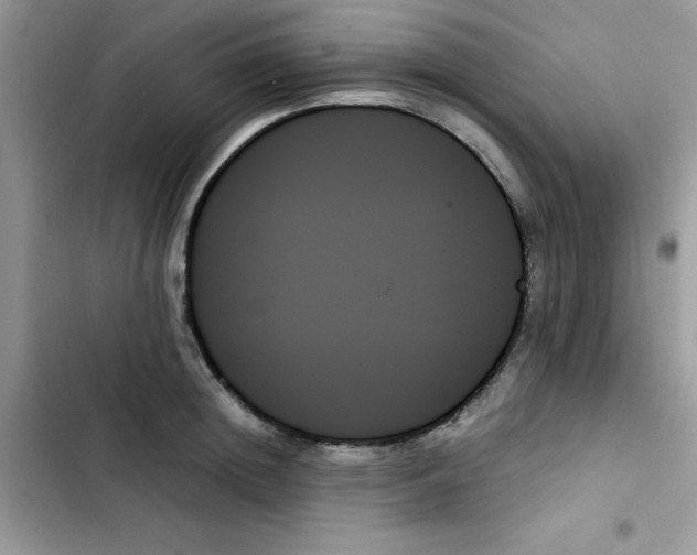X0000103130852200809191939