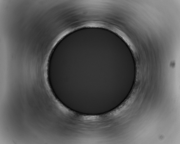X0000103130853200809191939