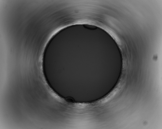 X0000103130854200809191939