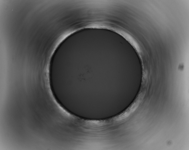 X0000103130855200809191939