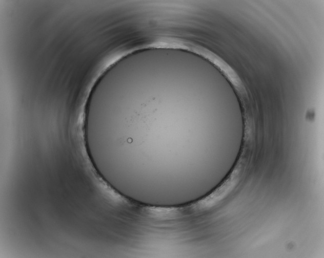 X0000103130856200809191940