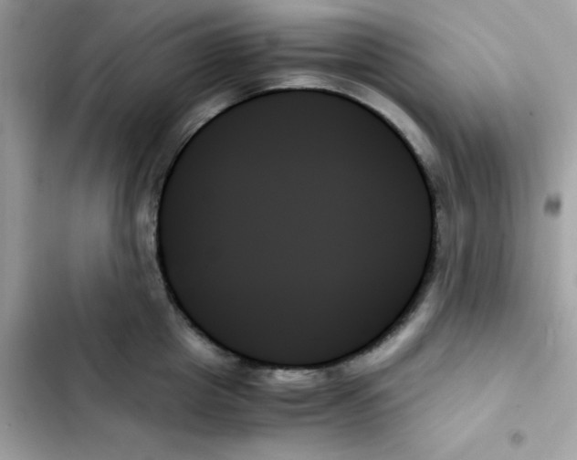 X0000103130857200809191940