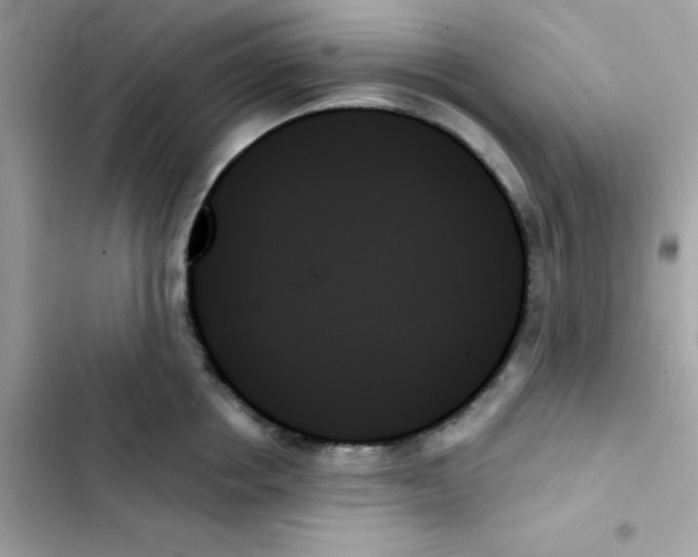 X0000103130858200809191940