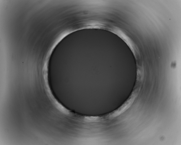 X0000103130859200809191940