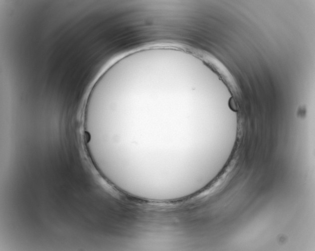 X0000103130860200809191940