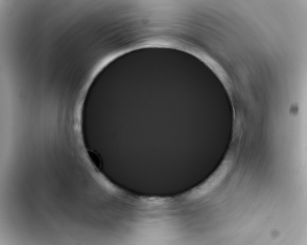 X0000103130862200809191940