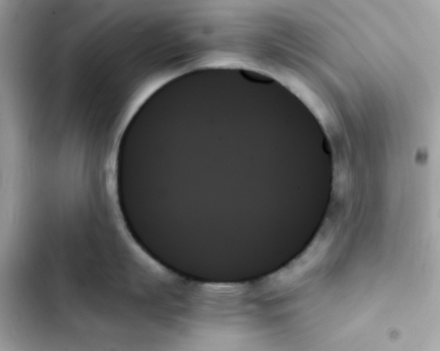 X0000103130863200809191940