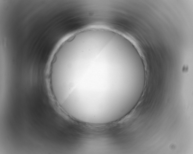 X0000103130864200809191940
