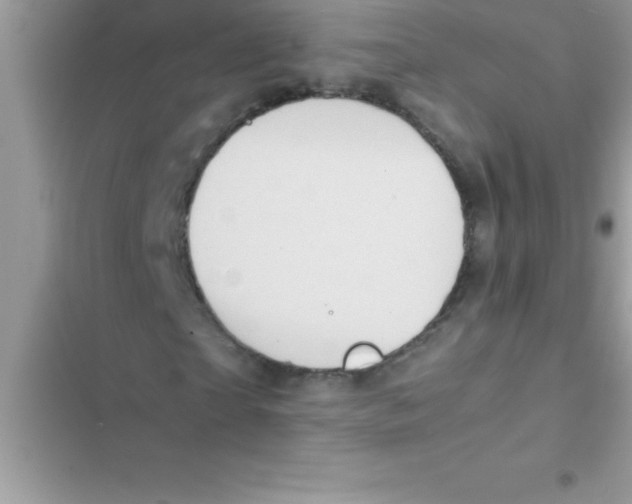 X0000103130865200809191939