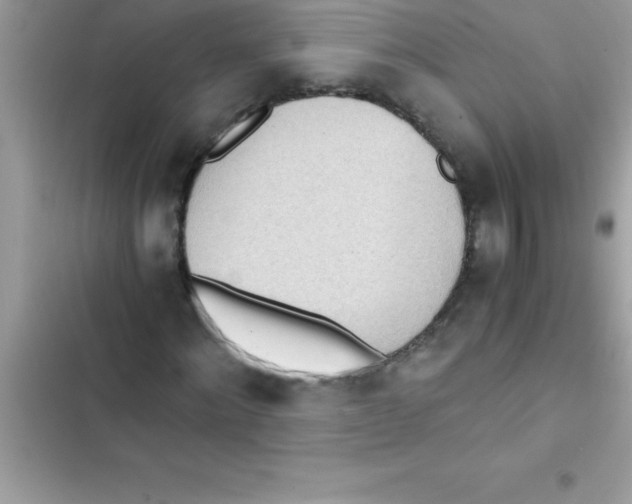 X0000103130868200809191939