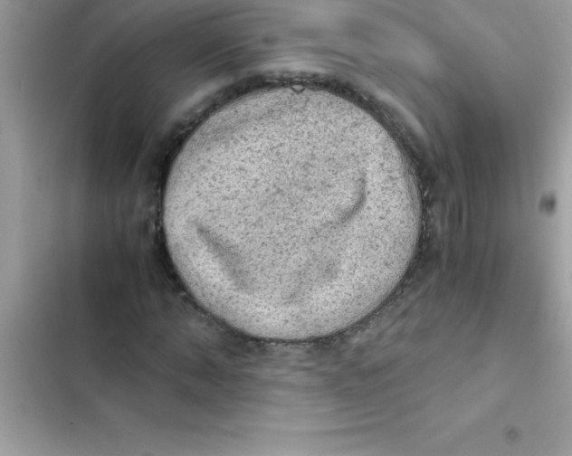 X0000103130870200809191939
