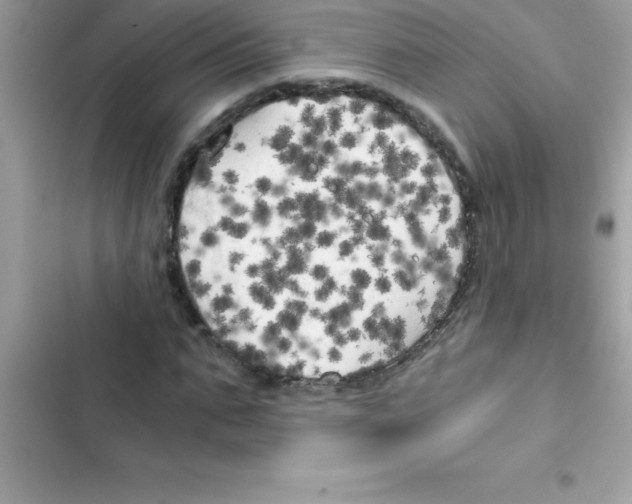 X0000103130871200809191939