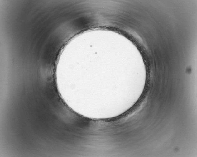 X0000103130873200809191939