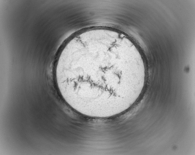 X0000103130875200809191939