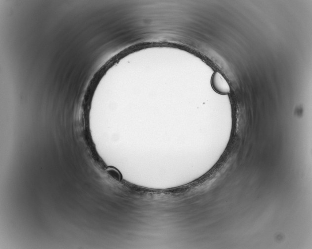X0000103130876200809191939