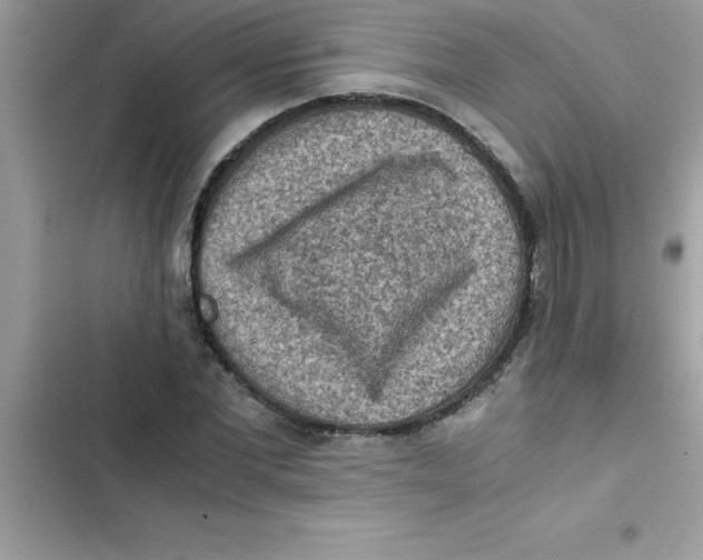 X0000103130877200809191939