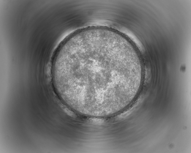 X0000103130878200809191939