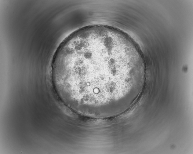 X0000103130879200809191939