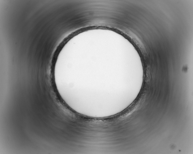 X0000103130880200809191939