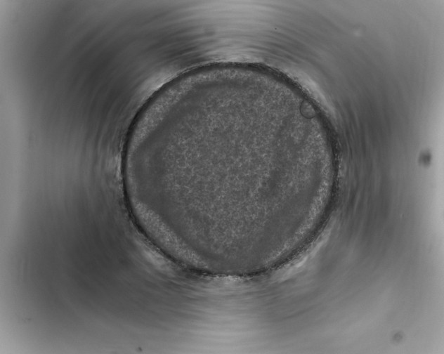 X0000103130881200809191939